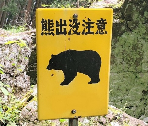 熊出没注意